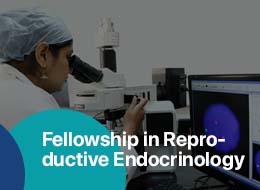 Fellowship in Reproductive Endocrinology